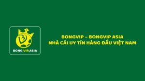 Giới thiệu Bongvip - Cổng cược ưu đãi hiếm có khó tìm