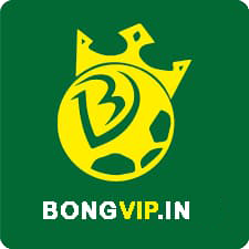 Favicon bongvipin