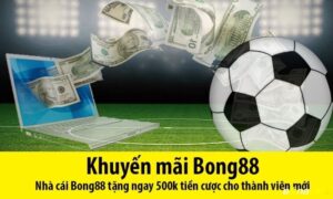 Tk bong88 2022 - Thông tin chi tiết về tài khoản bóng