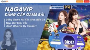 1popop - Link vào thiên đường giải trí viva88 chuẩn nhất