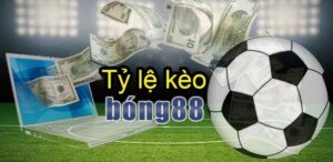 Tỷ lệ kèo bong88: Sức hấp dẫn khiến game thủ mê mẩn