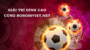 Thanh vien bong88viet.net và các đặc quyền có một không hai