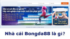 Bóngda88 – Sân chơi uy tín top đầu thị trường cược