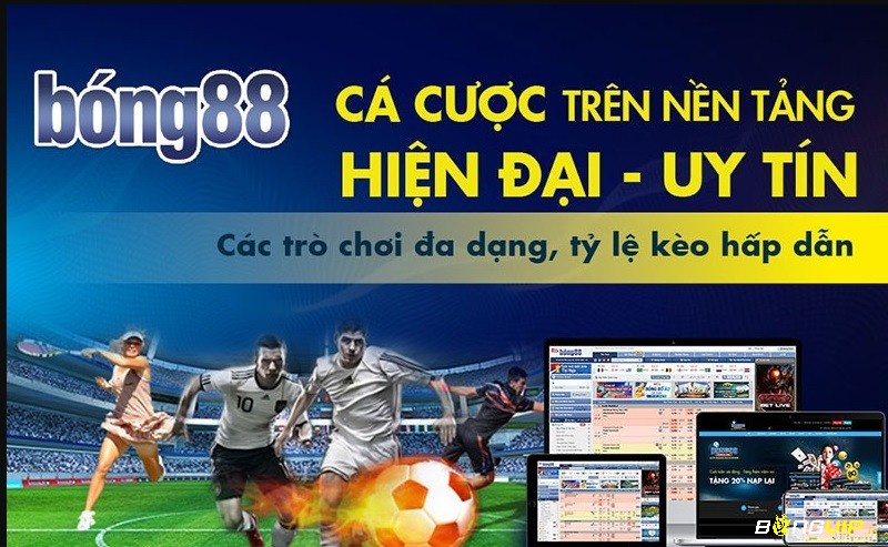 Giới thiệu sơ lược về nhà cái trực tuyến Bongvip88.com