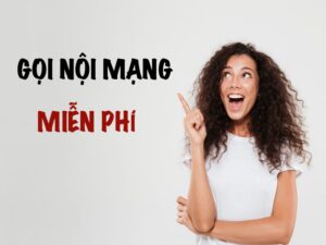 Cách đăng ký gọi nội mạng Vina | 3 cách đăng ký siêu hời