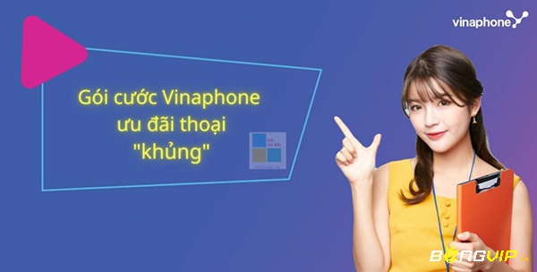 Vina hỗ trợ với rất nhiều gói cước dài theo chu kỳ