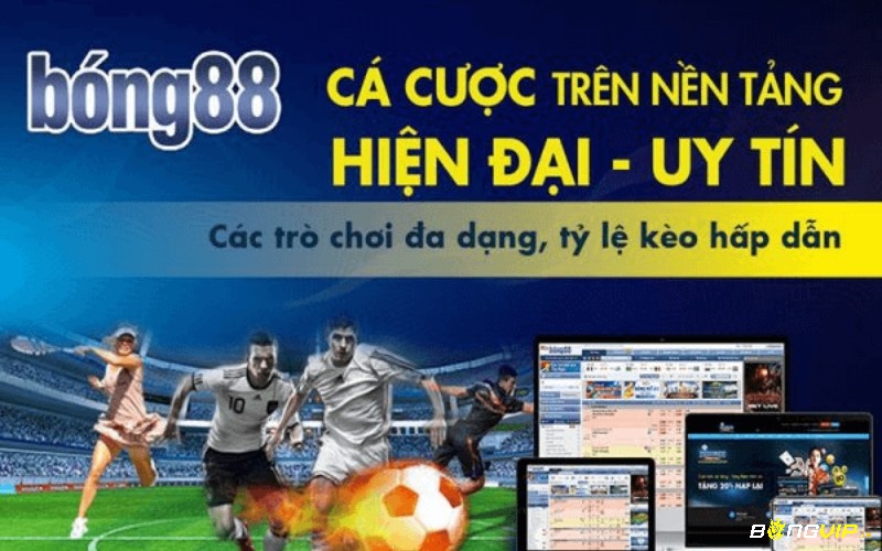 Khái quát về nhà cái và đường link vào Bong88