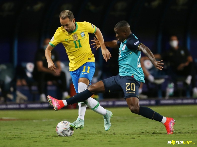 soi kèo Brazil vs Ecuador