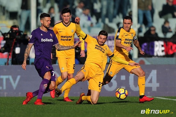 Nhận định trận đấu - soi kèo Fiorentina vs Verona - 18/09/2022