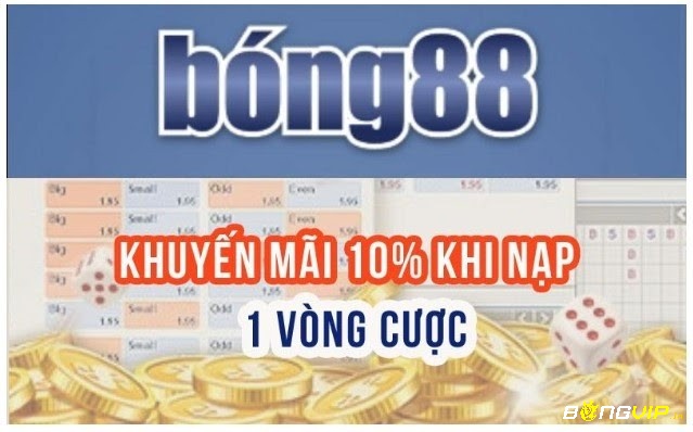 Rất nhiều các khuyến mãi vô cùng khác nhau khi chơi