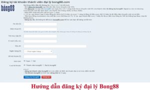 Dai ly bong88 banhbong.com hướng dẫn thao tác uy tín