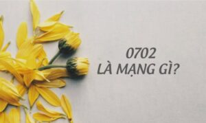 0702 là mạng gì? Tìm hiểu về mạng và các lợi ích khi sử dụng