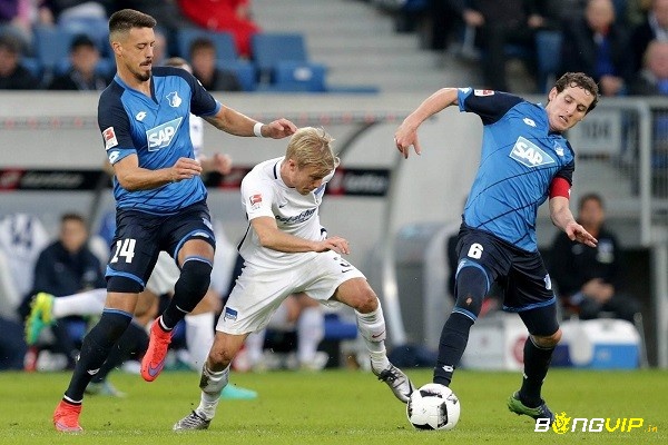 Nhận định trận đấu - Hoffenheim vs Hertha Berlin soi kèo - 30/10/2021