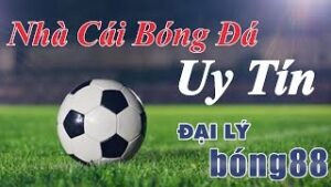 Dai ly bong88, cách đăng ký làm đại lý siêu đơn giản