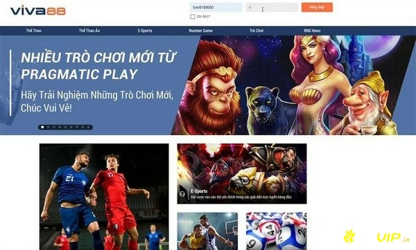 Viva88 hấp dẫn với rất nhiều trò chơi cá cược khác nhau