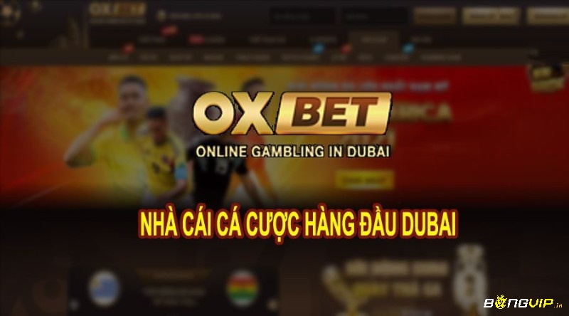 ÕBET – Web cược uy tín đáng trải nghiệm nhất 2023