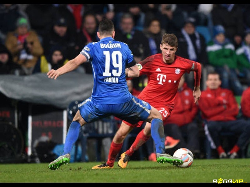 Soi keo bayern vs bochum trước trận đấu