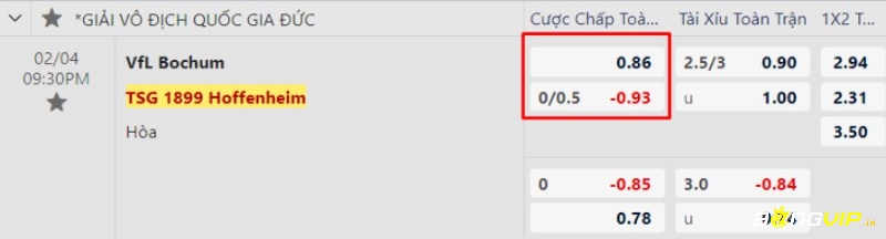 Tỉ lệ kèo, soi kèo bochum vs hoffenheim