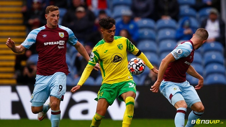 Đánh giá và soi keo Norwich City Burnley chuẩn