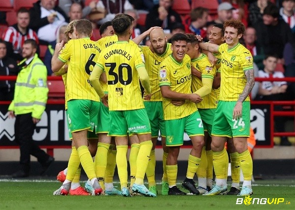 Norwich City đang là 1 trong 2 đội nhận về nhiều thất bại nhất giải đấu