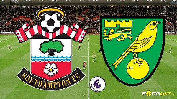 Nhận định trận đấu - Soi kèo Southampton vs Norwich City - 26/02/2022