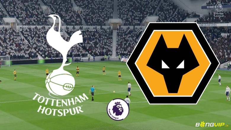 Nhận định trận đấu - Soi kèo Tottenham vs Wolverhampton - 20/08/2022