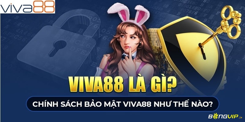 Vina88 net- Nơi đam me giải trí và cá cược được thỏa mãn.