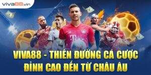 Viva.net88 - Nơi thỏa sức chinh phục bộ sưu tập game đa dạng