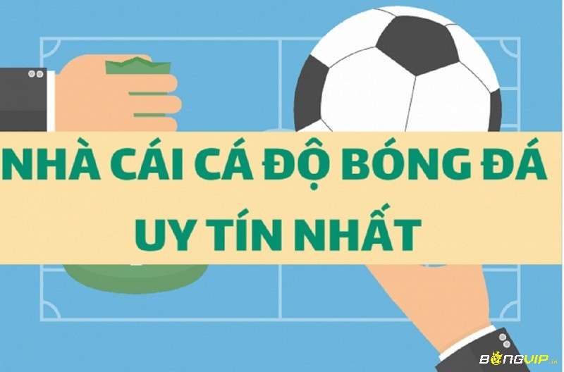 Abong88 Sân chơi cá cược đình đám 2023