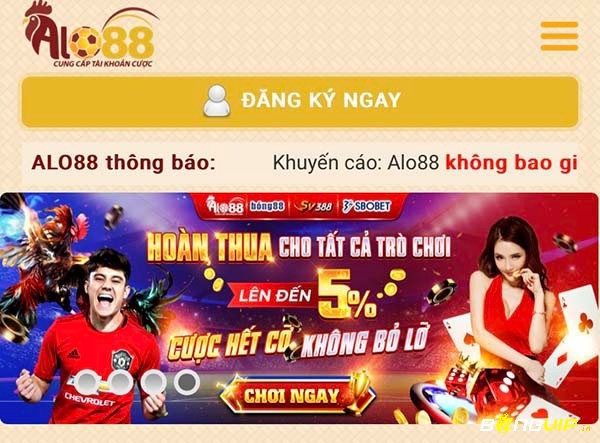 Đăng nhập alobong