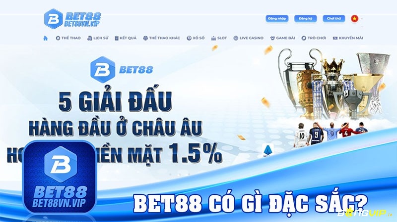 Bet 88.com nơi trải nghiệm lý tưởng của những ai đam mê cá cược.