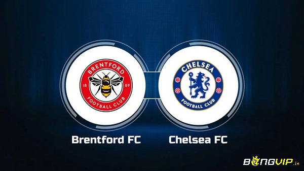 Nhận định trận đấu - Brentford vs Chelsea soi kèo - 20/10/2022