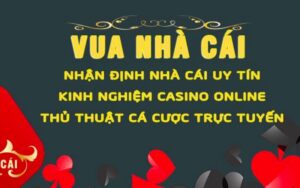 Vua nha cai net - Khám phá 5 dịch vụ cực đỉnh tại đây