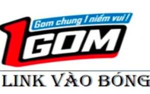 Vao 1gom com | Trang web cá cược hàng đầu Việt Nam