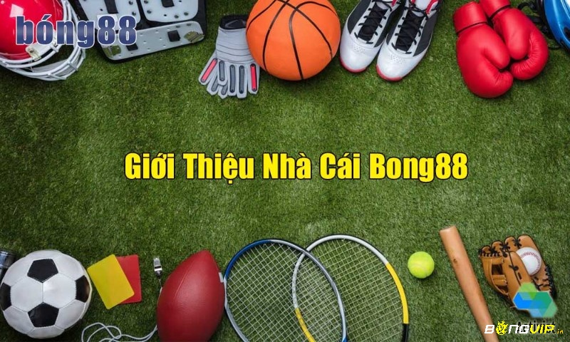 Giới thiệu nha cai bong 88.net