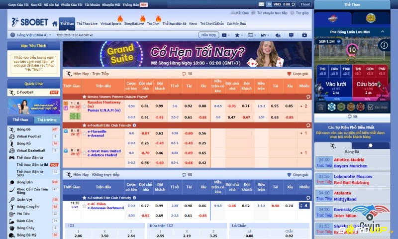 Cá cược thể thao tại Sbobet