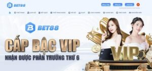 Soi keo Bet88 đơn giản với hướng dẫn chi tiết cho người mới