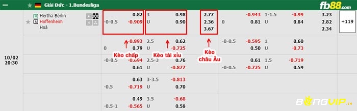 Soi keo Hoffenheim vs Hertha Berlin