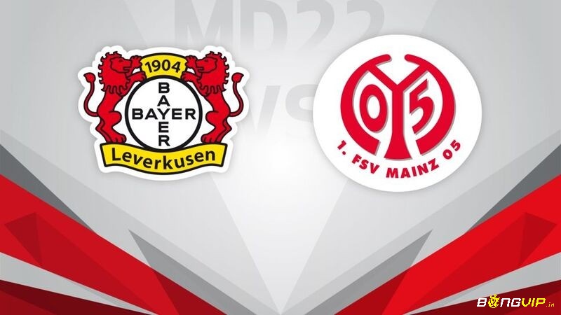 Soi kèo mainz 05 vs leverkusen chuẩn tại đây