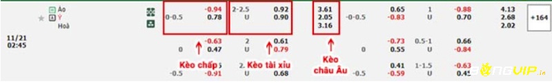 Nhận định soi kèo Châu Âu trong trận đấu giữa Ý và Áo ngày 21/11