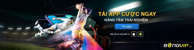 Cách tải chi tiết