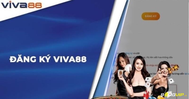 viva.88net nhà cái hàng đầu