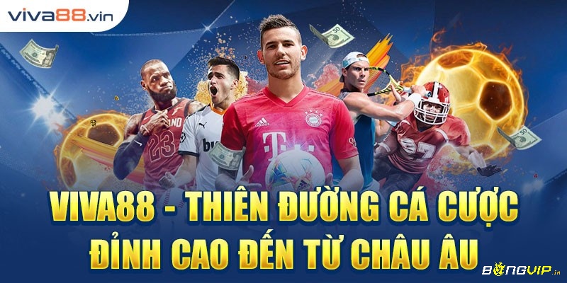 Sản phẩm chủ đạo viva.net88 cung cấp