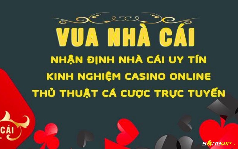  Giới thiệu thông tin sơ lược về trang thông tin tổng hợp Vua nha cai net