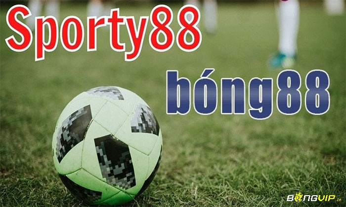 Www sporty88 com mang đến không gian cá cược chất lượng