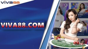 Viva88 .com – Thiên đường khởi nghiệp cực lý tưởng