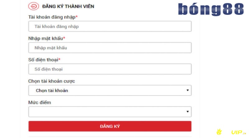 19999y. com có cách đăng ký đơn giản