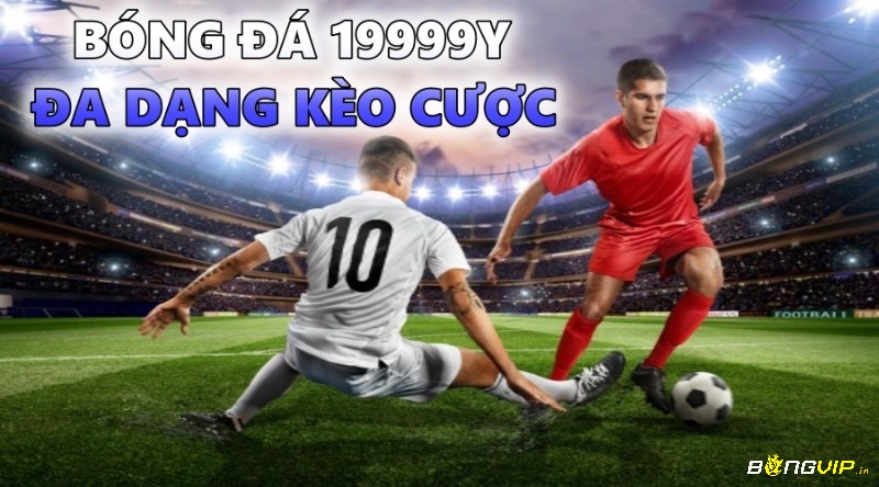 19999y.vom có đa dạng các kèo cược bóng đá