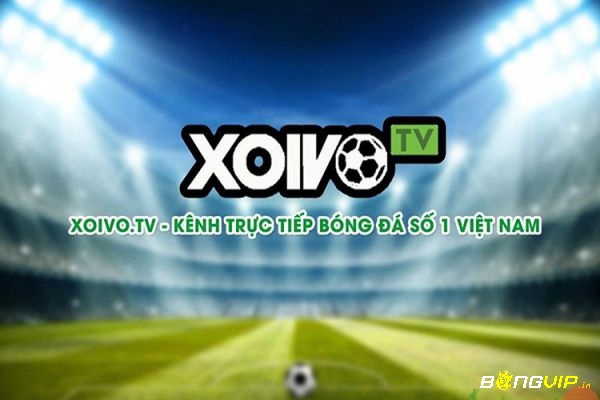 Xem bóng đá trên Xoivo.tv là hay nhất