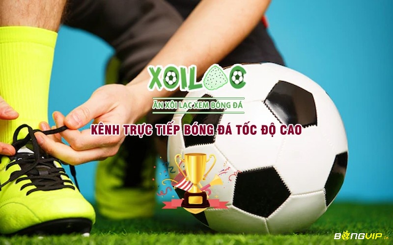 Xem b9ng da truc tuyen tại các trang xem web là hoàn hảo nhất